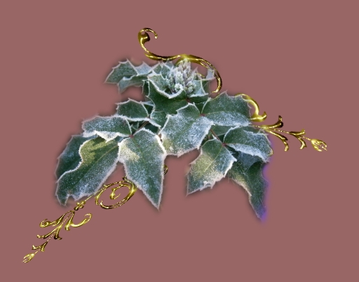 schnrgel3
